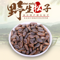 贵州金沙深山野生新鲜松籽原味零食坚果包邮
